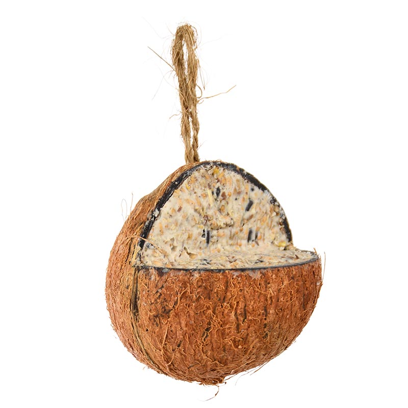 Vogelvoer