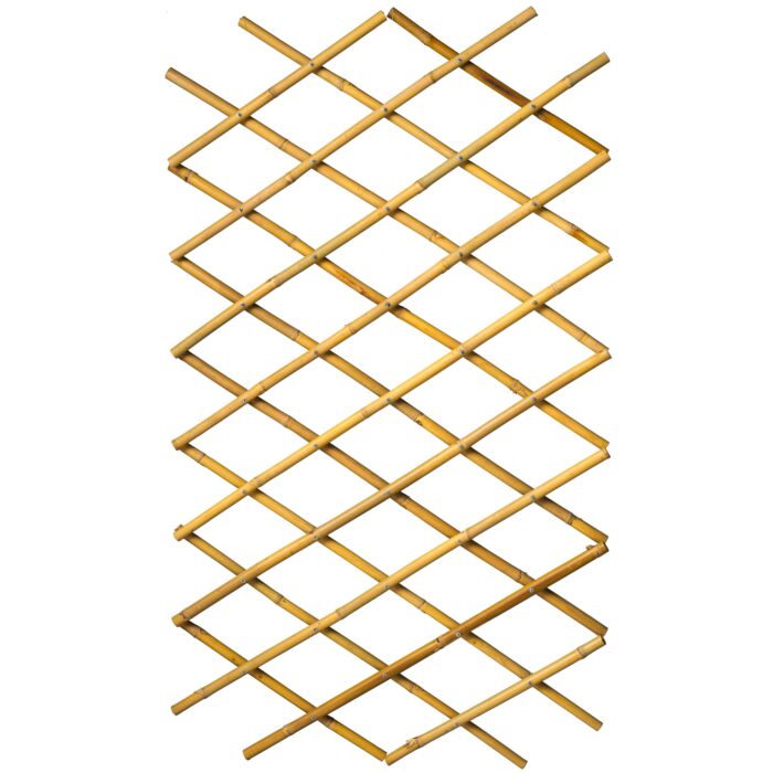 8711338407202.JPG