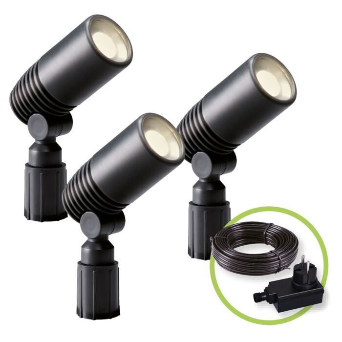 Alder-Set-2580063.jpg
