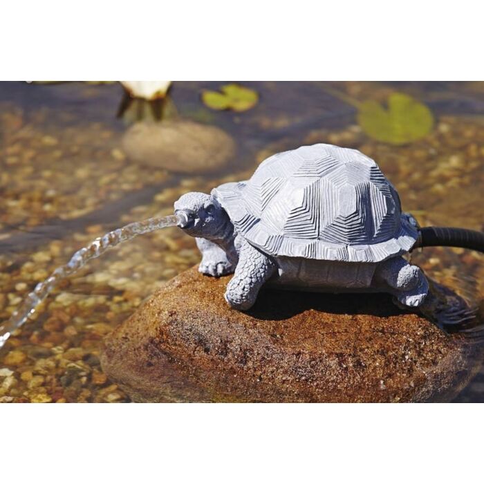 spuitfiguur-schildpad-36778-voorbeeld.jpg spuitfiguur-schildpad-36778-voorbeeld.jpg