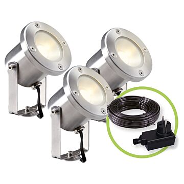 Catalpa-Set-4121603.jpg