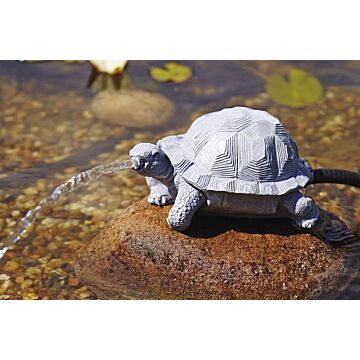 spuitfiguur-schildpad-36778-voorbeeld.jpg